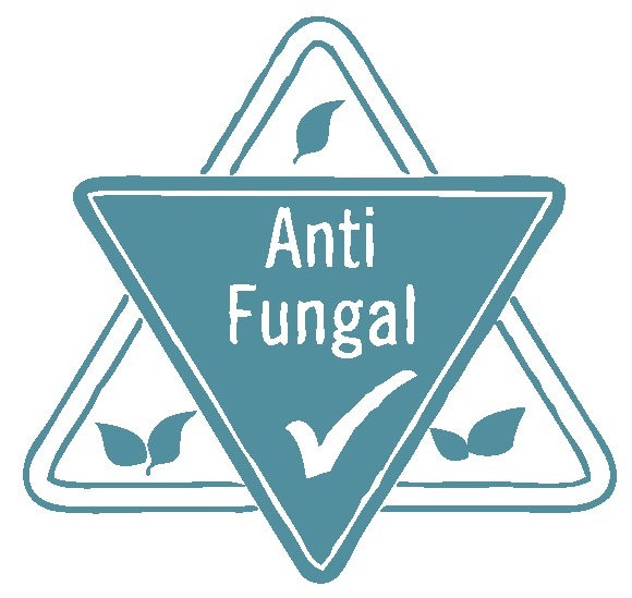 Antifungal