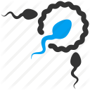 Fertility Agent
